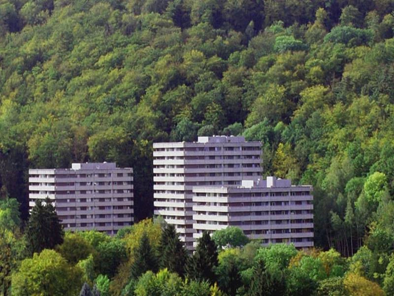 Waldoase I Inkl Sauna-Und Schwimmbadnutzung Bad Harzburg Exteriér fotografie